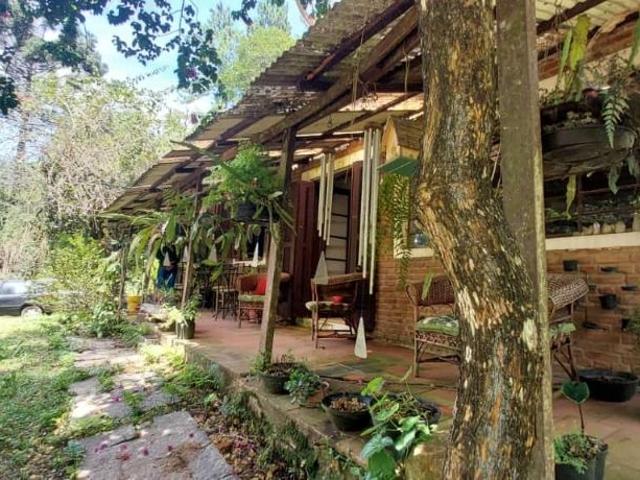 Sítio e chácara venda em Mailasqui, São Roque