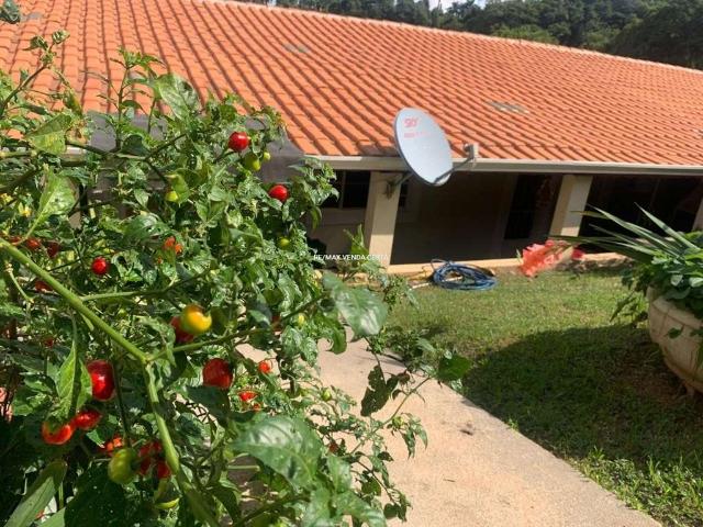 Sítio e chácara venda em Região Imediata de Sorocaba, Região Metropolitana de Sorocaba