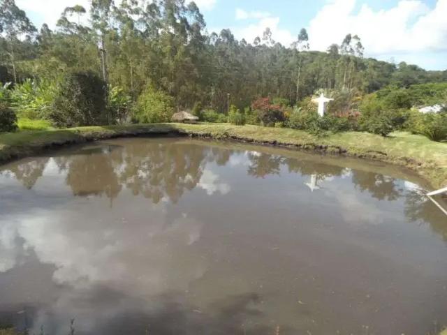 Sítio e chácara venda em Região Imediata de Sorocaba, Região Metropolitana de Sorocaba