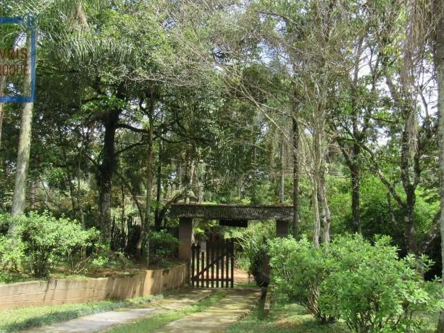 Sítio e chácara venda em São Roque