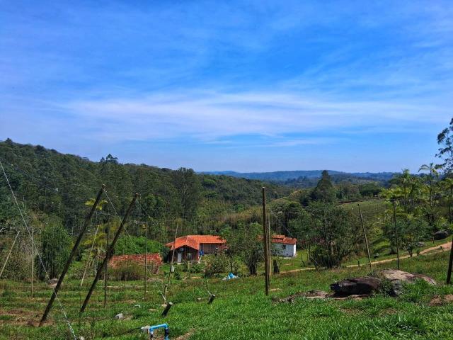 Sítio e chácara venda em Loteamento Sítio Primavera, São Roque