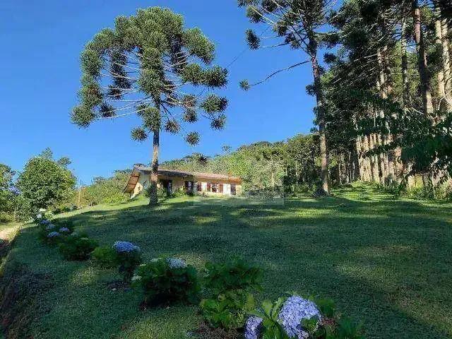 Sítio e chácara venda em São Roque