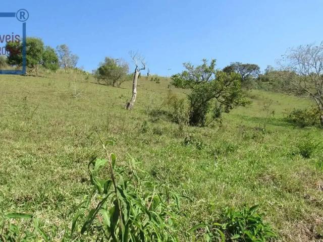Sítio e chácara venda em Vila Santo Antonio, São Roque