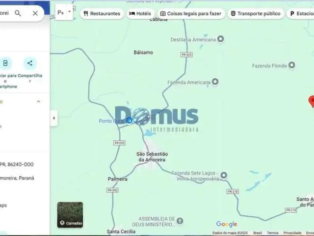 Sítio e chácara venda em Região Geográfica Imediata de Cornélio Procópio-Bandeirantes, São Sebastião da Amoreira