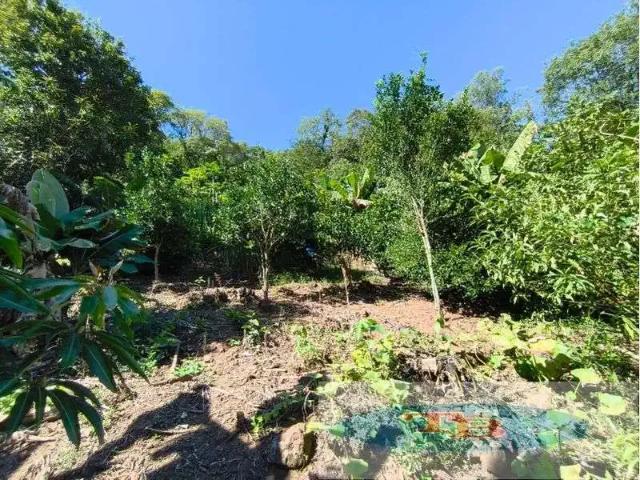 Sítio e chácara venda em Região Geográfica Imediata de Novo Hamburgo - São Leopoldo, São Sebastião do Cai
