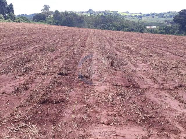 Sítio e chácara venda em Vila Dalva, São Sebastião do Paraíso