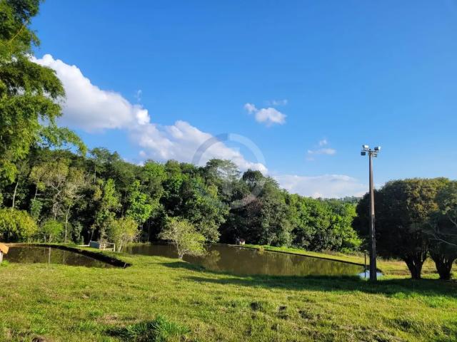 Sítio e chácara venda em Vila Dalva, São Sebastião do Paraíso