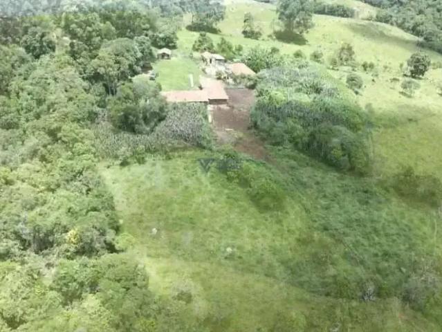 Sítio e chácara venda em Região Geográfica Imediata de São Sebastião do Paraíso, São Sebastião do Paraíso
