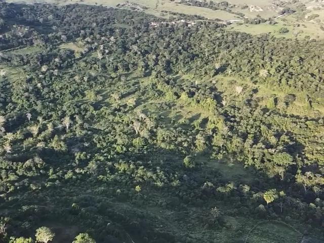 Sítio e chácara venda em Região Geográfica Imediata de Salvador, Região Metropolitana de Salvador