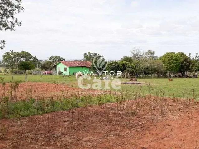 Sítio e chácara venda em Região Geográfica Imediata de Santa Maria, São Sepe