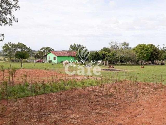 Sítio e chácara venda em Sede, São Sepé