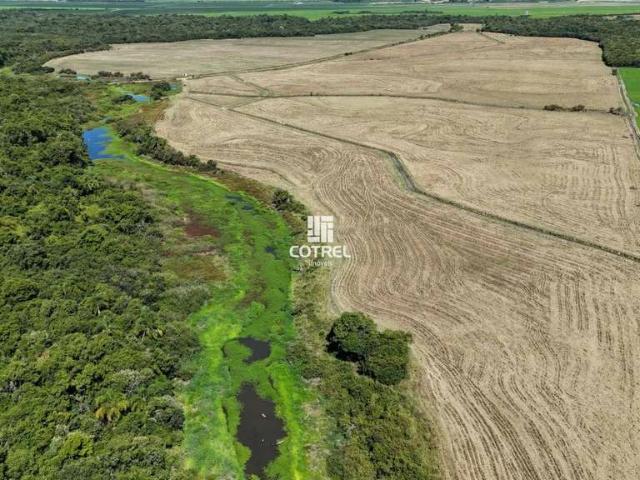 Sítio e chácara venda em Sede, São Sepé
