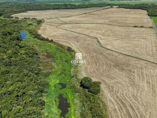Sítio e chácara venda em Região Geográfica Imediata de Santa Maria, São Sepe