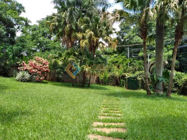 Sítio e chácara venda em São Simão