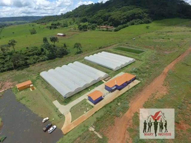 Sítio e chácara venda em Região Imediata de Ribeirão Preto, Região Metropolitana de Ribeirão Preto