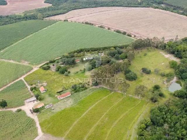 Sítio e chácara venda em Região Imediata de Ribeirão Preto, Região Metropolitana de Ribeirão Preto