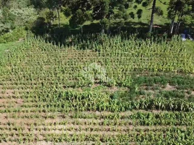 Sítio e chácara venda em Região Geográfica Imediata de Bento Gonçalves, Bento Gonçalves