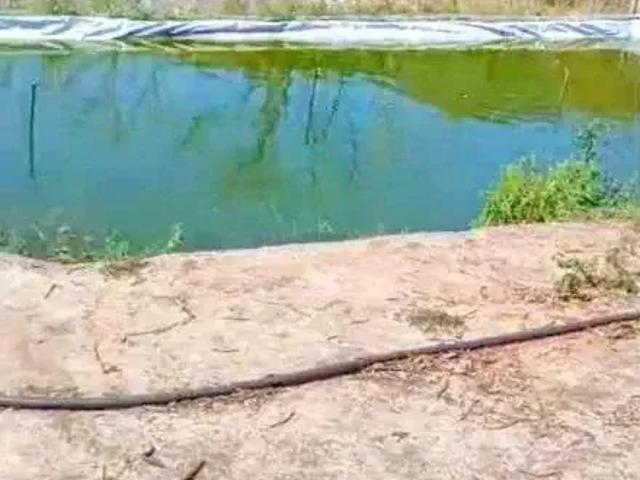 Sítio e chácara venda em Região Geográfica Imediata de Belo Horizonte, Região Metropolitana de Belo Horizonte