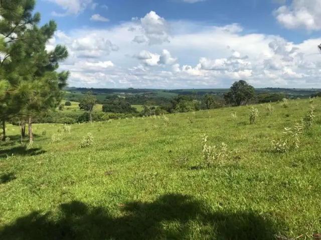 Sítio e chácara venda em Região Geográfica Imediata de Londrina, Sabáudia
