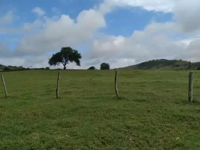 Sítio e chácara venda em Região Geográfica Imediata de Caruaru, Saire