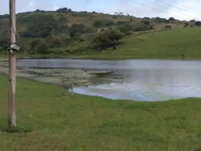 Sítio e chácara venda em Região Geográfica Imediata de Caruaru, Saire