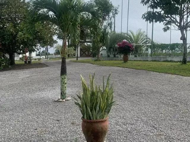 Sítio e chácara venda em Região Geográfica Imediata de Caruaru, Saire
