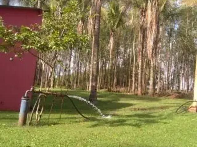 Sítio e chácara venda em Região Imediata de São Joaquim da Barra-Orlândia, Região Metropolitana de Ribeirão Preto