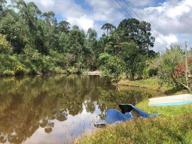 Sítio e chácara venda em Salesópolis