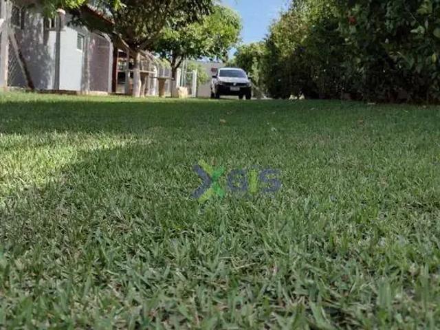 Sítio e chácara venda em Região Imediata de São José do Rio Preto, Região Metropolitana de São José do Rio Preto
