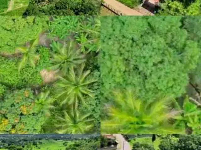 Sítio e chácara venda em Salgado, Região Nordeste