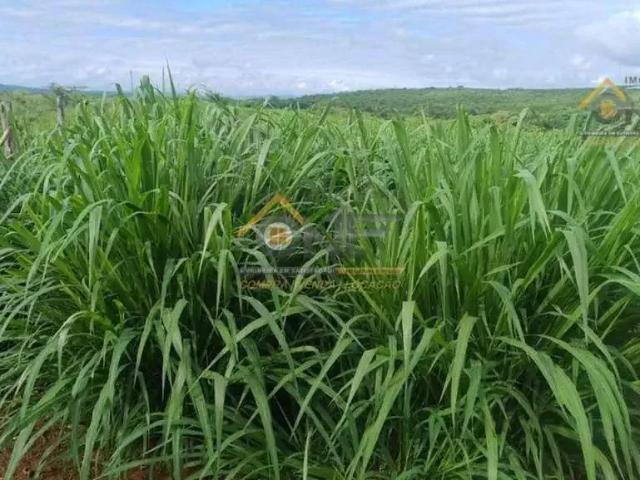 Sítio e chácara venda em Região Geográfica Imediata de Salinas, Salinas