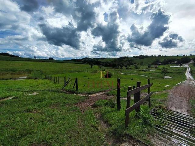 Sítio e chácara venda em Região Imediata de São José do Rio Preto, Região Metropolitana de São José do Rio Preto