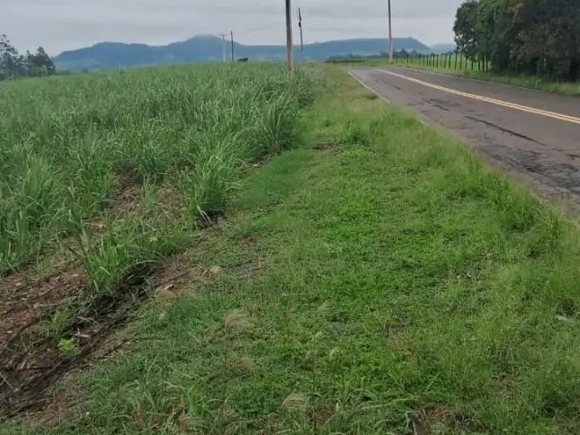 Sítio e chácara venda em Região Imediata de Piracicaba, Região Metropolitana de Piracicaba