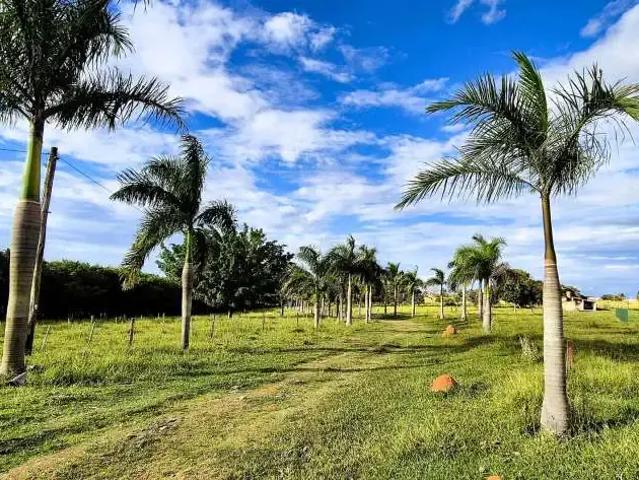 Sítio e chácara venda em Região Imediata de Sorocaba, Região Metropolitana de Sorocaba
