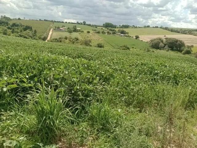 Sítio e chácara venda em Região Geográfica Imediata de Goiás - Itapuranga, Nova Crixás
