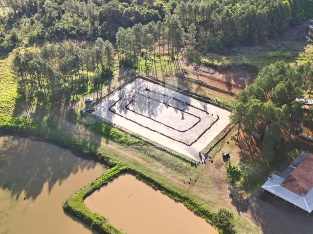 Sítio e chácara venda em Região Geográfica Imediata de Dois Vizinhos, Salto do Lontra