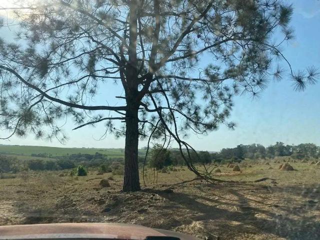 Sítio e chácara venda em Região Imediata de Sorocaba, Região Metropolitana de Sorocaba