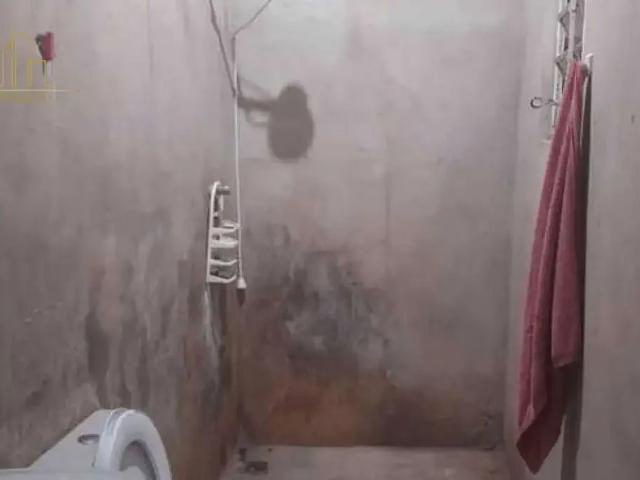 Sítio e chácara venda em Região Imediata de Sorocaba, Região Metropolitana de Sorocaba