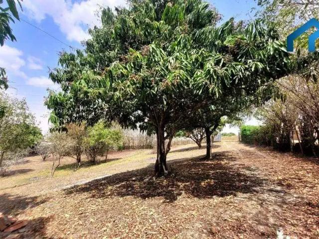 Sítio e chácara venda em Salto