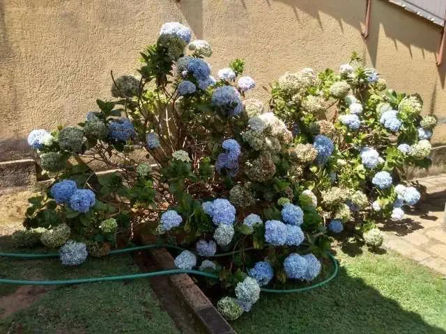 Sítio e chácara venda em Região Imediata de Sorocaba, Região Metropolitana de Sorocaba