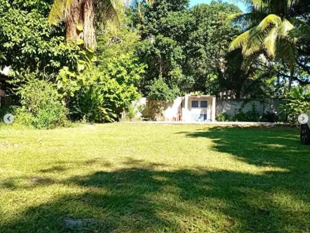 Sítio e chácara venda em Região Geográfica Imediata de Salvador, Região Metropolitana de Salvador