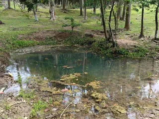 Sítio e chácara venda em Região Geográfica Imediata de Tubarão, Sangão