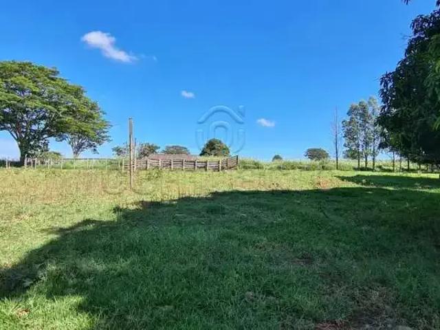 Sítio e chácara venda em Região Imediata de Jales, Santa Albertina