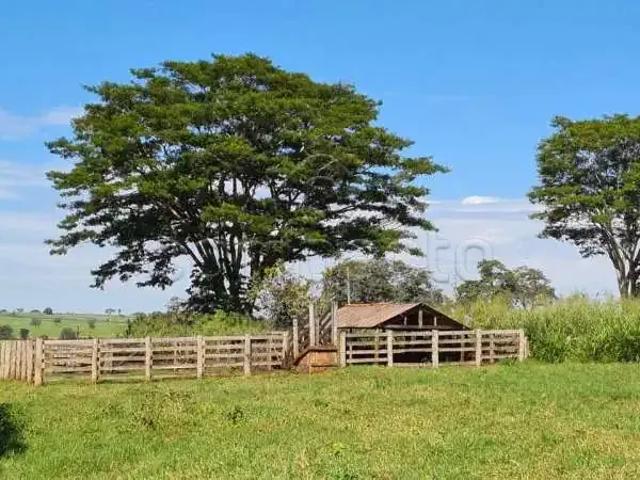 Sítio e chácara venda em Região Imediata de Jales, Santa Albertina