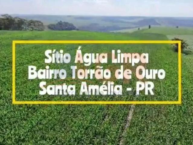 Sítio e chácara venda em Região Geográfica Imediata de Cornélio Procópio-Bandeirantes, Santa Amélia