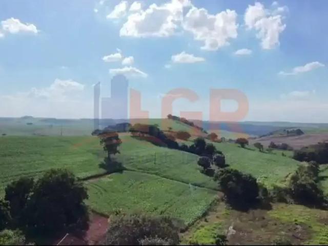 Sítio e chácara venda em Região Geográfica Imediata de Cornélio Procópio-Bandeirantes, Santa Amélia