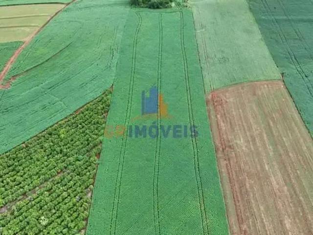 Sítio e chácara venda em Região Geográfica Imediata de Cornélio Procópio-Bandeirantes, Santa Amélia