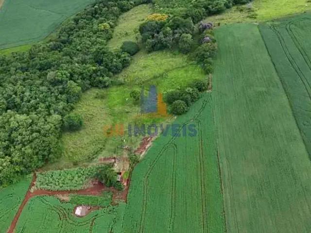 Sítio e chácara venda em Região Geográfica Imediata de Cornélio Procópio-Bandeirantes, Santa Amélia