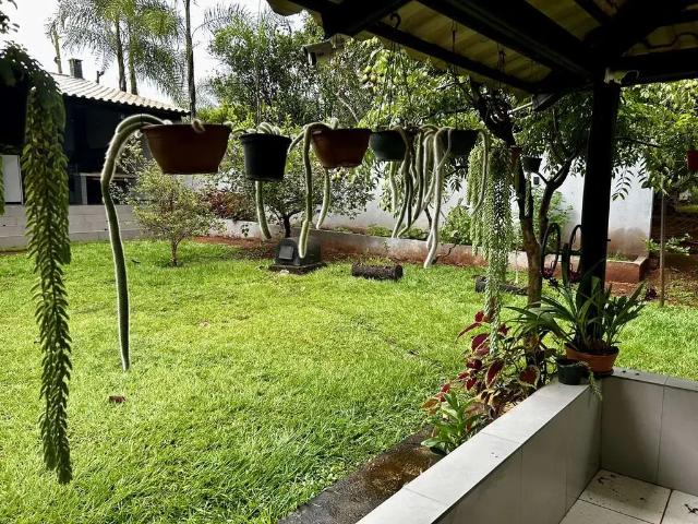 Sítio e chácara venda em Região Geográfica Imediata de Palmeiras de Goiás, Santa Bárbara de Goiás