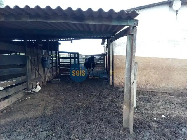 Sítio e chácara venda em Região Imediata de Campinas, Região Metropolitana de Campinas